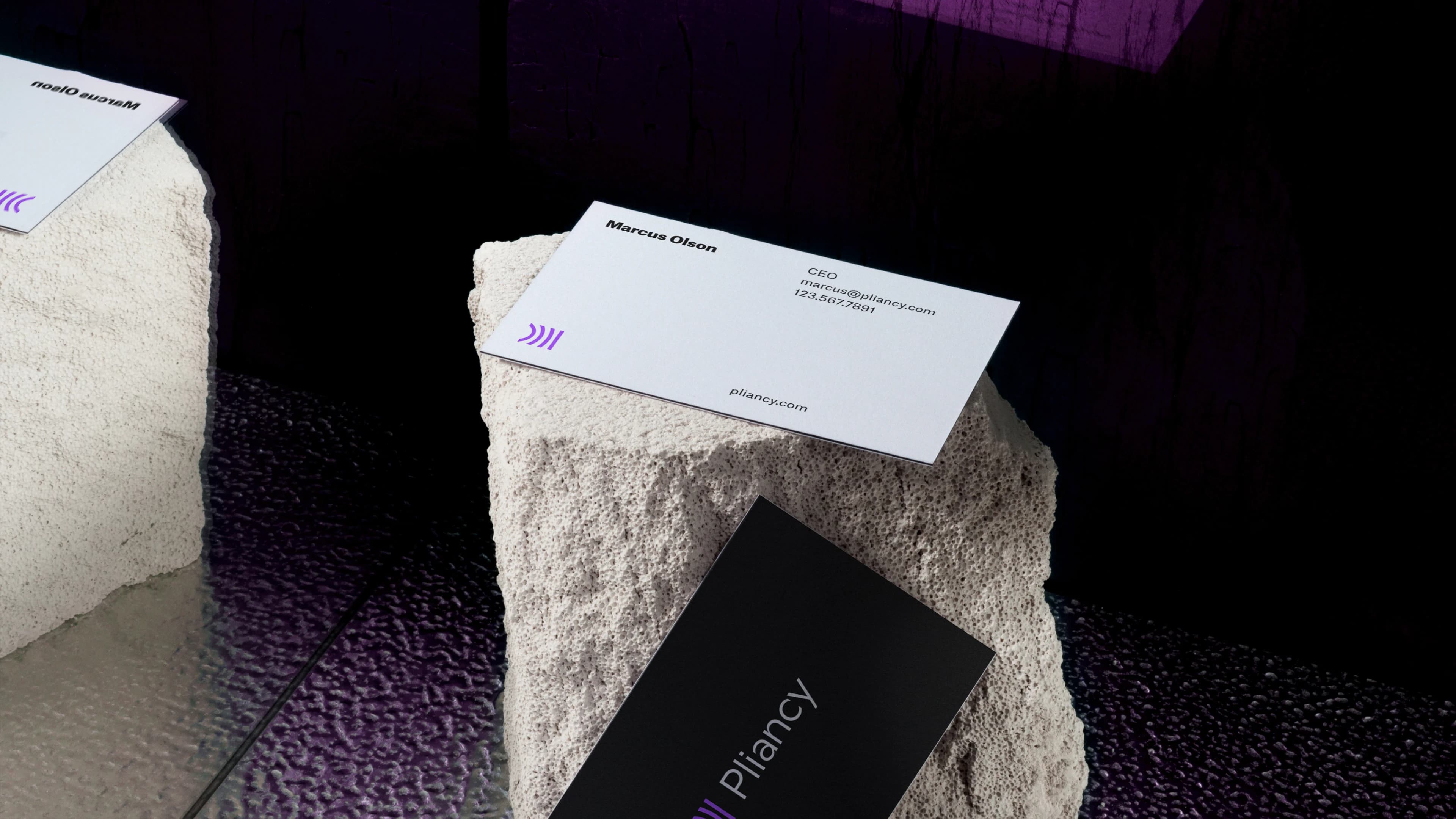 Pliancy project imagery
