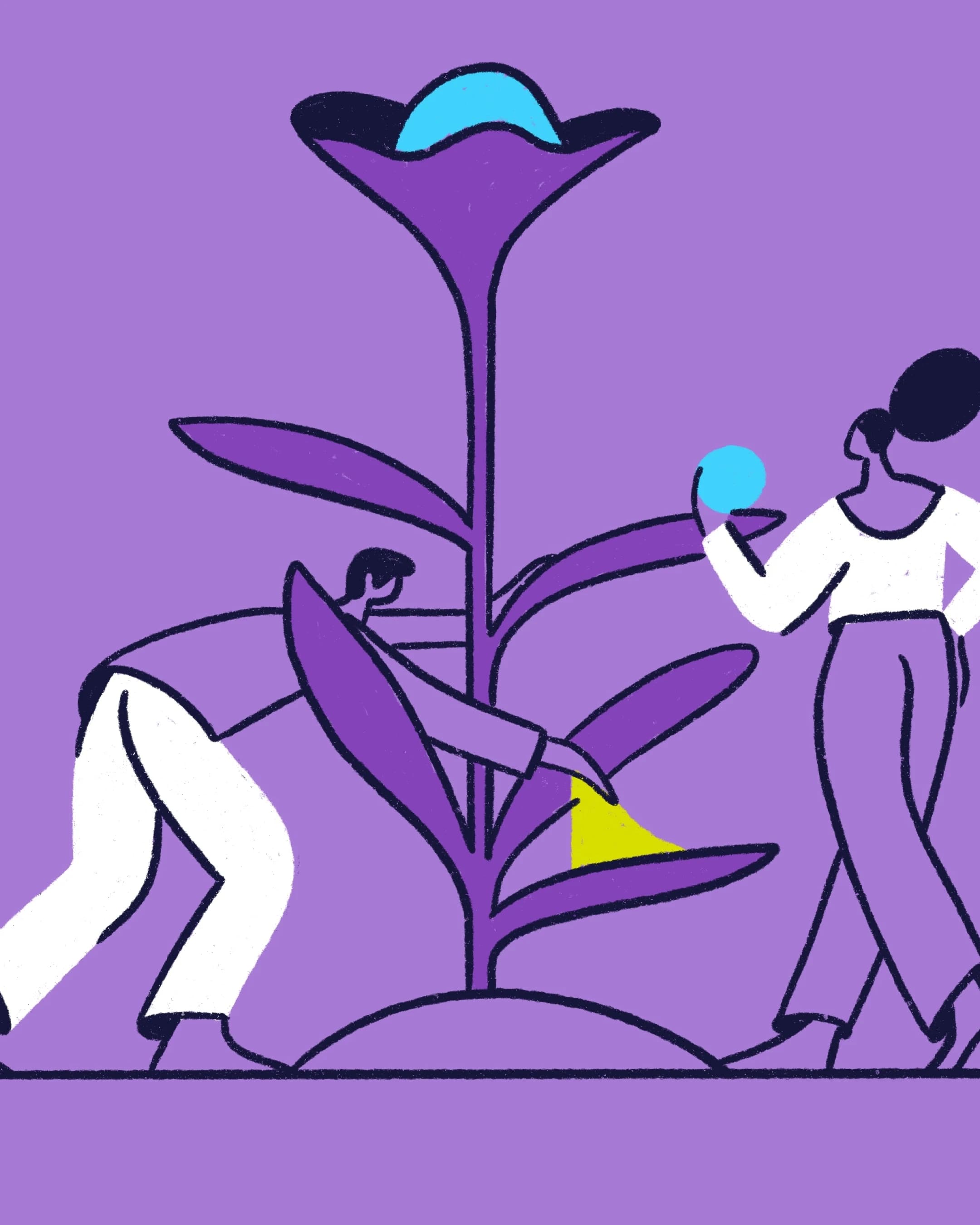 Pliancy project imagery